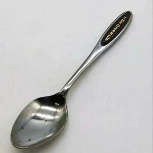 The Ozarks Mountain Range Chrome Souvenir Spoon Kitschy Cool